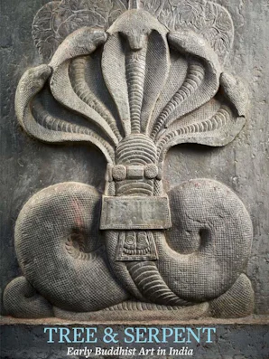 Serpent In Tree Tree & Serpent - Reading Religion